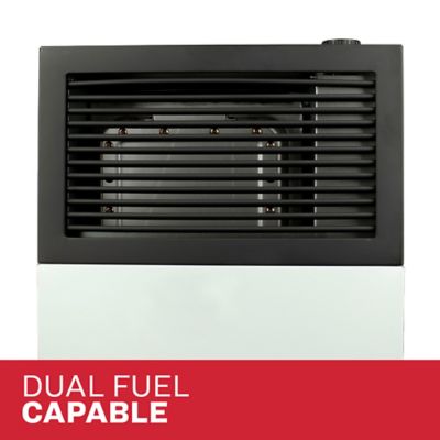 Image showing 8 th Ashley Direct Vent Wall Heater 8,000 BTU Propane