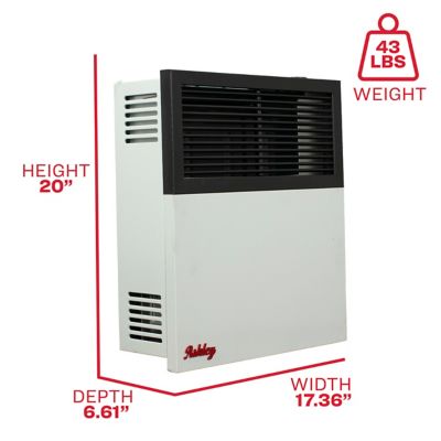Image showing  Direct Vent Wall Heater Dual Fuel 11,000 BTU