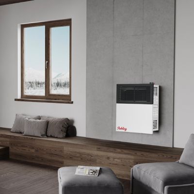 Image showing  Direct Vent Wall Heater Dual Fuel 11,000 BTU