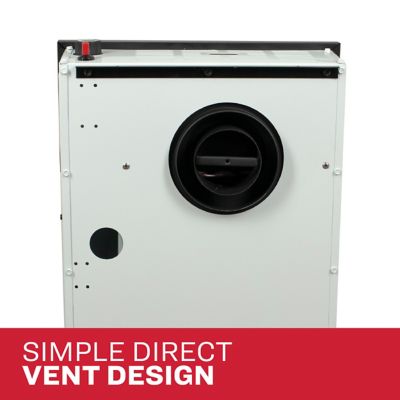 Image showing 6 th Ashley Direct Vent Wall Heater Dual Fuel 11,000 BTU