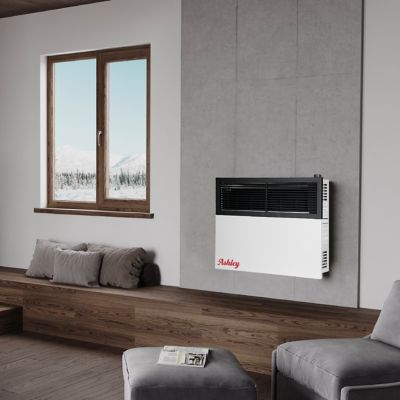 Image showing  Direct Vent Wall Heater Dual Fuel 17,000 BTU