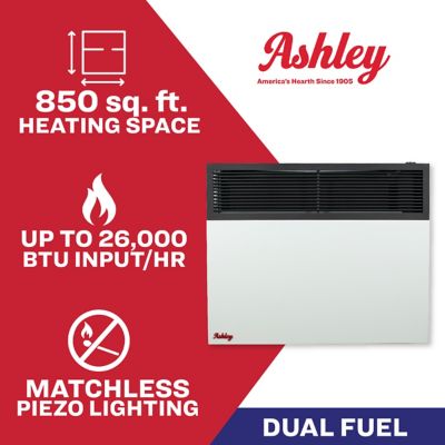 Image showing  Direct Vent Wall Heater Dual Fuel 25,000 BTU