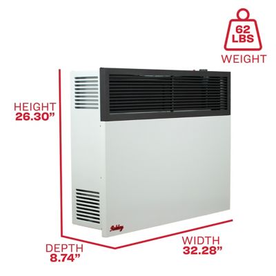Image showing  Direct Vent Wall Heater Dual Fuel 25,000 BTU