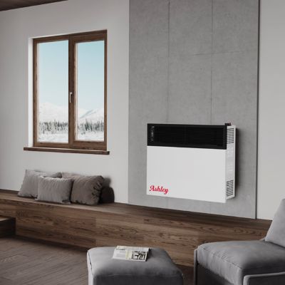 Image showing  Direct Vent Wall Heater Dual Fuel 25,000 BTU