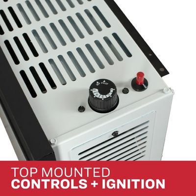 Image showing 5 th Ashley Direct Vent Wall Heater Dual Fuel 25,000 BTU