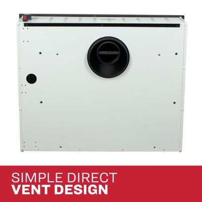 Image showing 6 th Ashley Direct Vent Wall Heater Dual Fuel 25,000 BTU