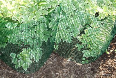 Image showing  Expandable Modular Garden Fence