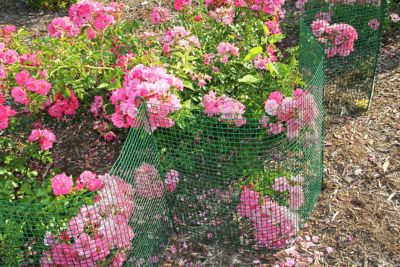 Image showing  Expandable Modular Garden Fence