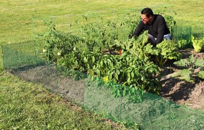 Image showing  Expandable Modular Garden Fence