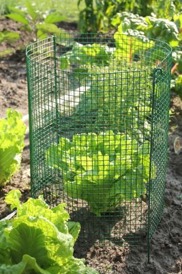 Image showing 6 th Flipo Expandable Modular Garden Fence