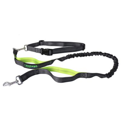 Jespet Goopaws Hands Free Bungee Dog Leash, Green