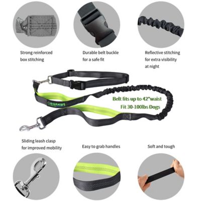 Image showing  Goopaws Hands Free Bungee Dog Leash, Green