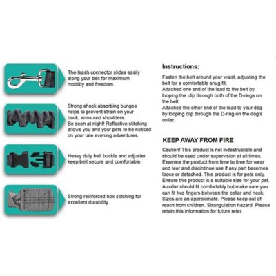 Image showing  Goopaws Hands Free Bungee Dog Leash, Green