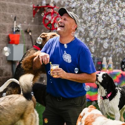 Image showing 6 th Atomic Bubbles Puppy Love Bubbles Birthday Cake Scented 2 Pack 4 oz. Bottles