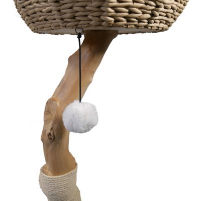 Image showing  Luxury Pear Wood Cat Tree
