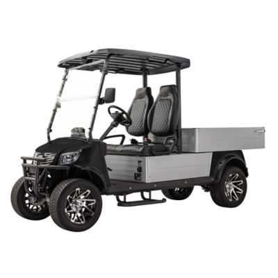 Massimo 2-Seater 48V MVR Cargo Max Utility Electric Golf Cart with Dump Bed, Blue