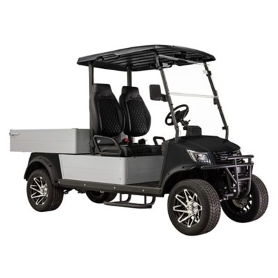 Image showing 6 th Massimo 2-Seater 48V MVR Cargo Max Utility Electric Golf Cart with Dump Bed, Blue