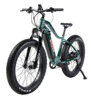 Young Electric E Scout Electric Off Road Fat Tire Bike, 750W 48V15Ah Green