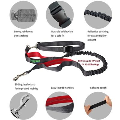 Image showing  Hands Free Bungee Dog Leash, Red, Medium to Large Dogs Up To 150 lbs.