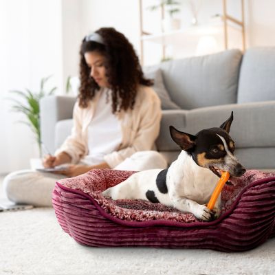 Image showing  Rectangle Dog Bed, Durable Sleeping Calming Cuddler for Pets