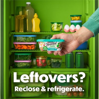 Image showing  Freshly Prepared Meals Beef Stew Wet Dog Food, 10 oz.