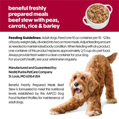 Image showing 6 th Purina Beneful Freshly Prepared Meals Beef Stew Wet Dog Food, 10 oz.