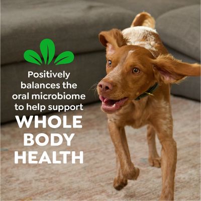 Image showing 5 th Greenies Original Large Natural Dog Dental Care Chews Oral Health Dog Treats, 27 oz.