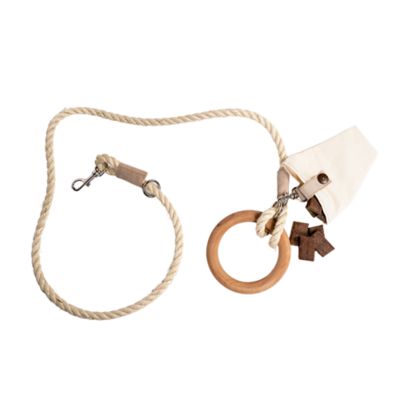 Image showing  Carbon Neutral Eco Friendly Dog Leash with Small Storage Bag