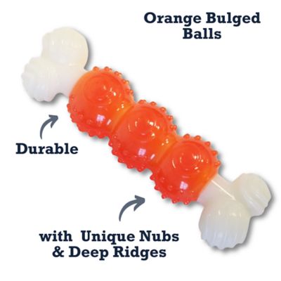 Image showing 5 th Country Living Durable TPR Nylon Dog Bone Chew Toy, Orange