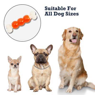 Image showing 6 th Country Living Durable TPR Nylon Dog Bone Chew Toy, Orange