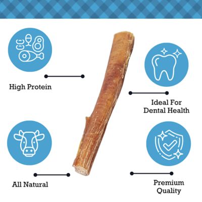 Image showing  12 in. Standard Bully Sticks, 10 pk.