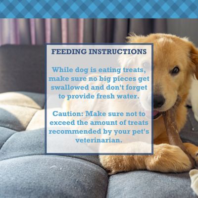 Image showing  12 in. Braided Collagen Sticks, Premium All Natural, 10 pk.