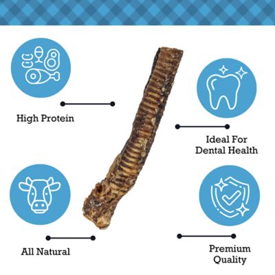 Image showing  12 in. Beef Trachea Dog Treats, 100% Natural, 5 pk.