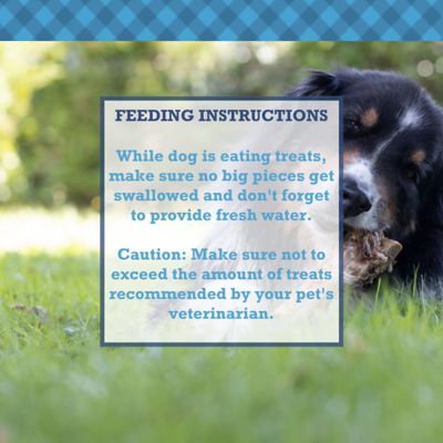 Image showing  12 in. Beef Trachea Dog Treats, 100% Natural, 5 pk.