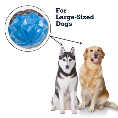 Image showing 6 th Country Living Geometric Design Textured Ball Dog Chew Toy