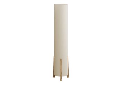Image showing  Modern Contemporary Floor Lamp