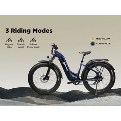 Image showing 6 th Young Electric E Scout Pro Step Through Electric Off Road Fat Tire Bike, 750W 48V20Ah Blue, 12803024BL