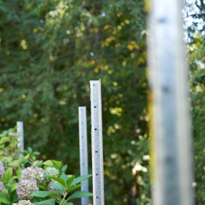 Image showing 9 th Lifetime Steel Post 8 ft. x 4 in. Powder Coated Steel Metal Fence Post with Top Plate for Line Applications, Galvanized Steel