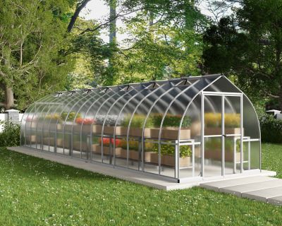 Image showing  Bella 8 ft. x 32 ft. Greenhouse