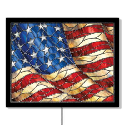 Desperate Enterprises 18 in. x 23 in. Backlit Flag LED Sign