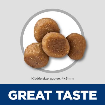 Image showing  Kitten Sensitive Stomach & Skin Salmon & Brown Rice Recipe Dry Cat Food