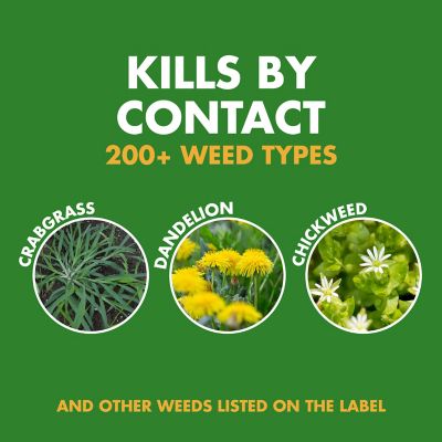 Image showing  Weed Stop for Lawns Plus Crabgrass Preventer Granules