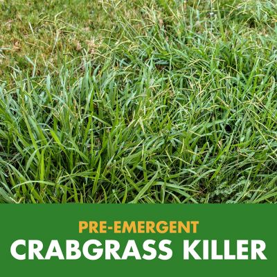 Image showing  Weed Stop for Lawns Plus Crabgrass Preventer Granules