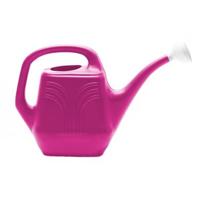 Image showing  2 gal. Classic Watercan Mix Trend, 12 pk.