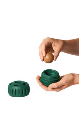 Image showing  Pupsicle Green Small