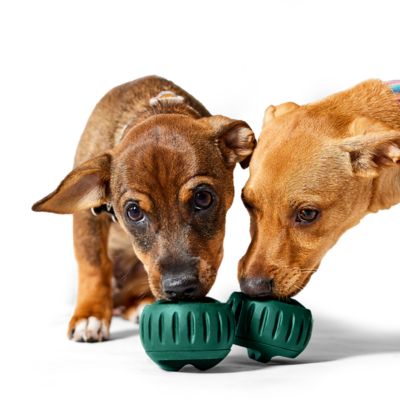 Image showing  Pupsicle Green Small