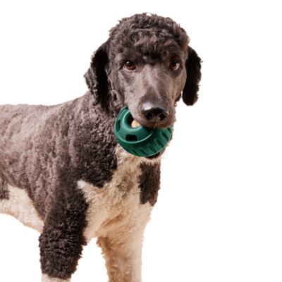 Image showing  Pupsicle Green Large