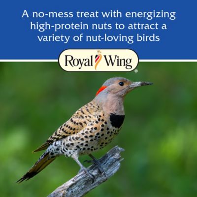 Image showing  Peanut Pieces Seed Cake, 28 oz.