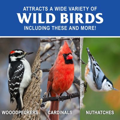 Image showing  Peanut Pieces Seed Cake, 28 oz.