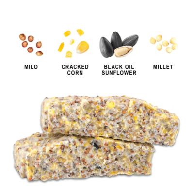 Image showing  Hi-Energy Suet Cakes